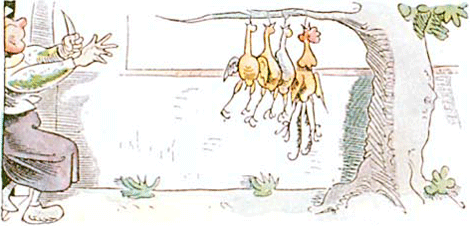 illustratie