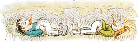 illustratie