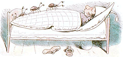 illustratie
