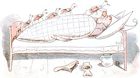 illustratie