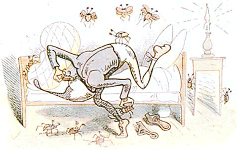illustratie