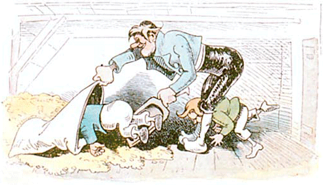 illustratie