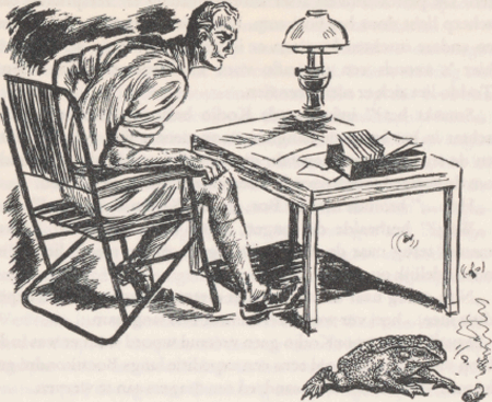 illustratie