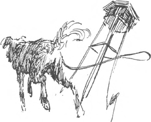 illustratie