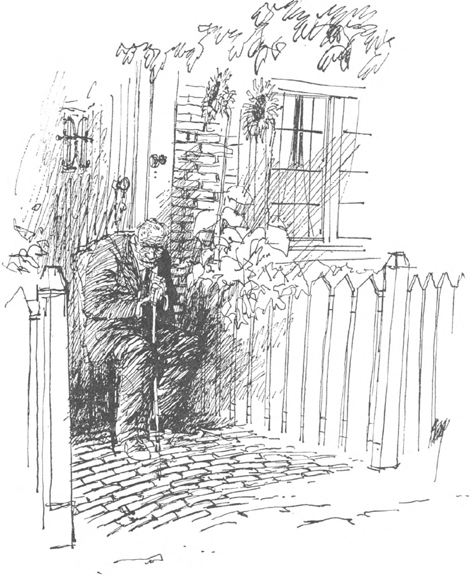 illustratie