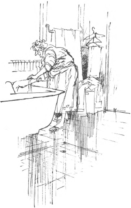 illustratie