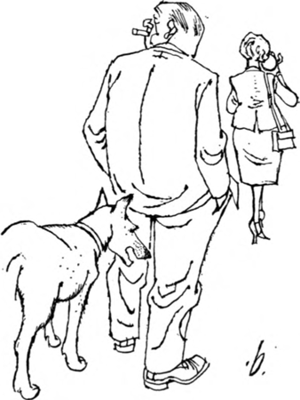illustratie