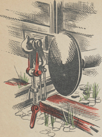 illustratie