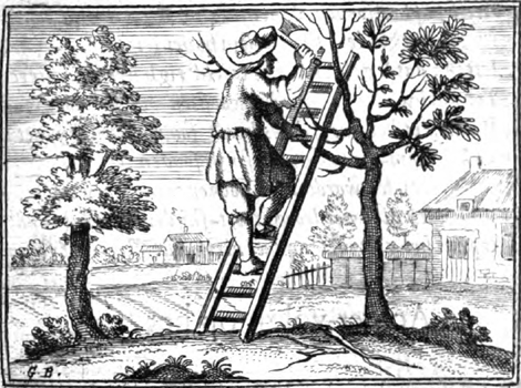 illustratie