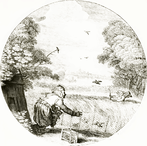 illustratie