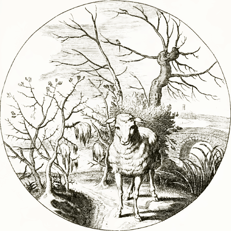 illustratie