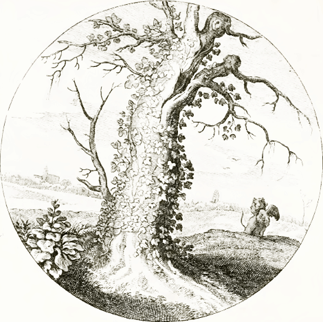 illustratie