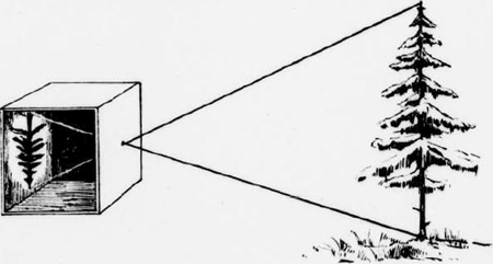 illustratie