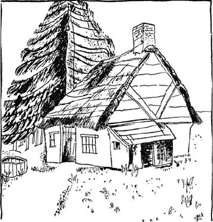illustratie