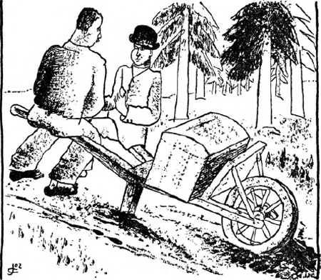 illustratie