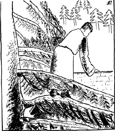 illustratie