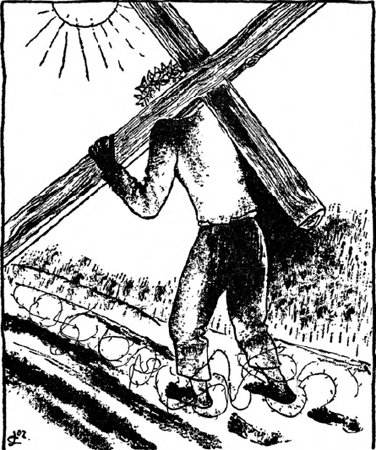 illustratie