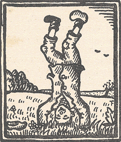 illustratie
