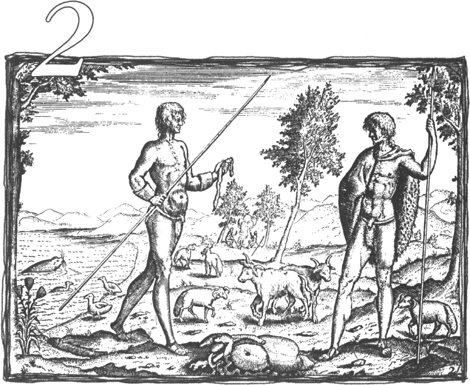 illustratie