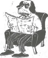 illustratie