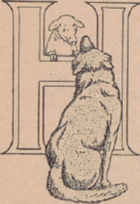 illustratie