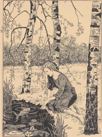 illustratie