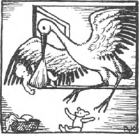 illustratie