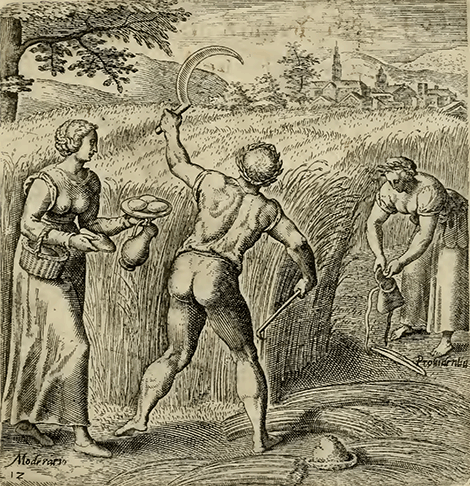 illustratie