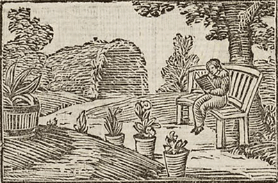 illustratie