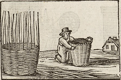 illustratie