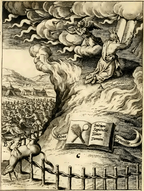 illustratie