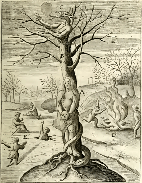 illustratie