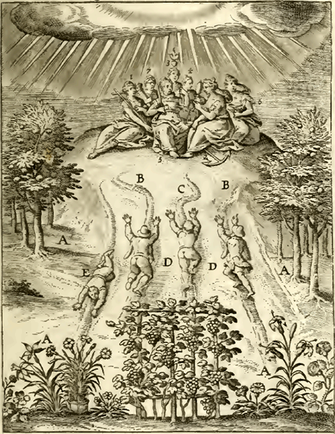 illustratie
