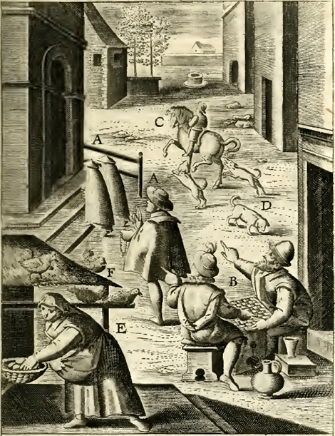 illustratie