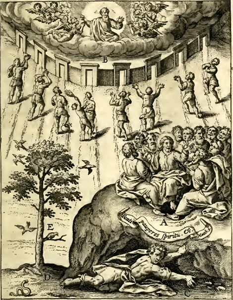 illustratie