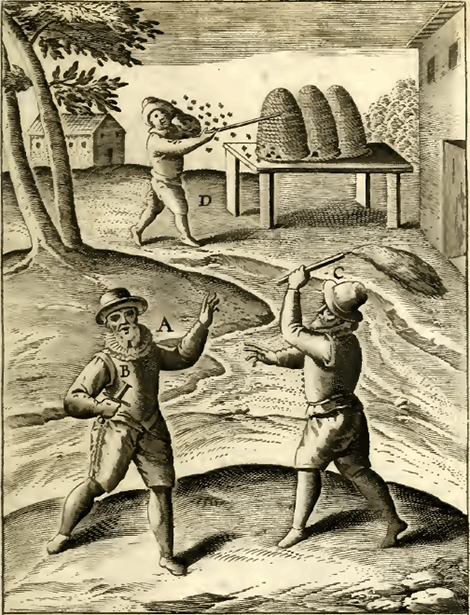 illustratie