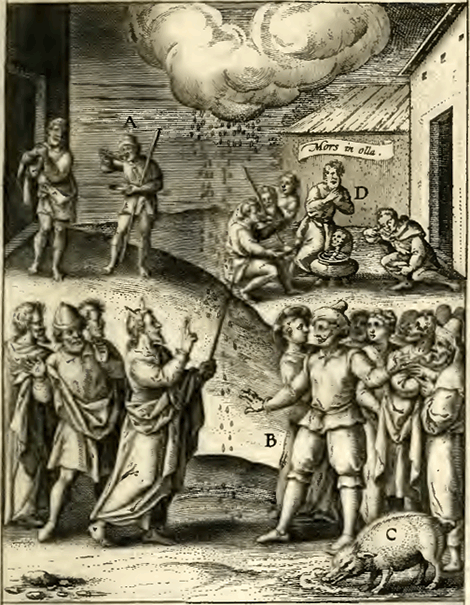illustratie