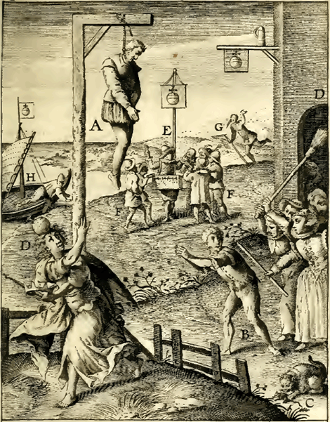 illustratie