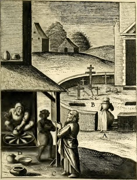 illustratie