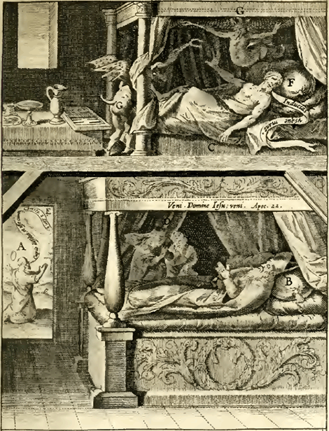 illustratie