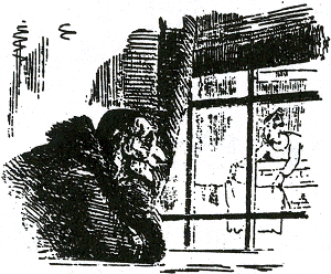 illustratie