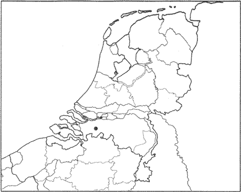 illustratie