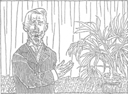 illustratie