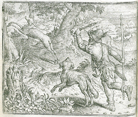 illustratie