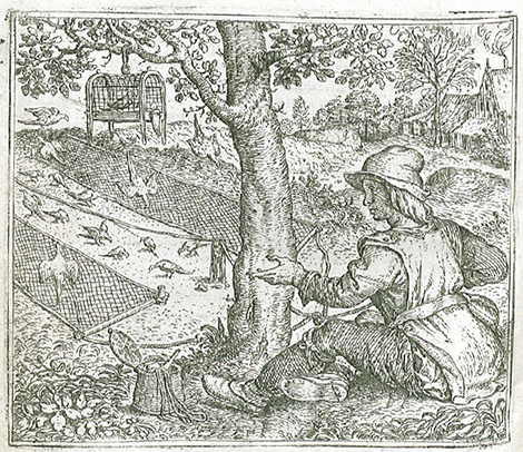 illustratie