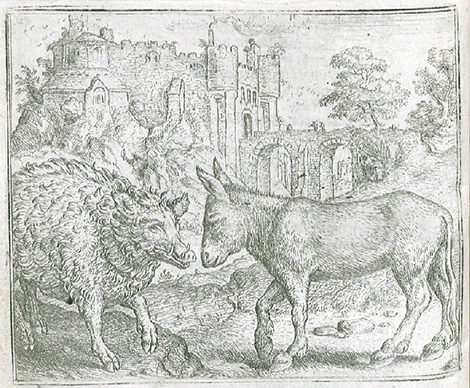 illustratie