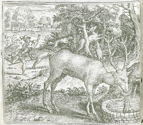 illustratie