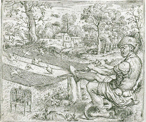 illustratie