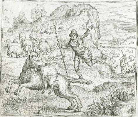 illustratie