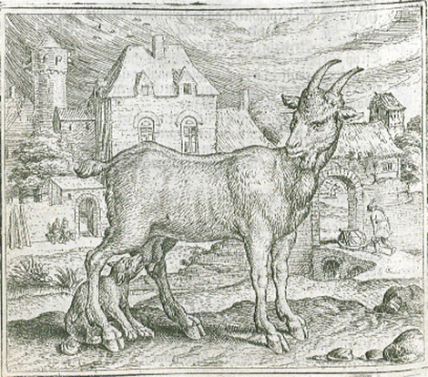 illustratie